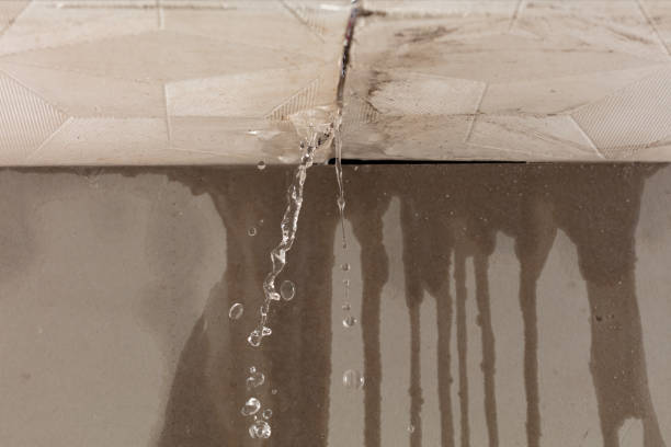Professional Water Damage Inspection technician working in Waverly, OH